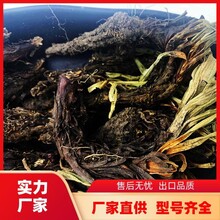 正宗甘松500g大料龙虾麻辣烫卤火锅调料大全甘松干香松草厂商销售