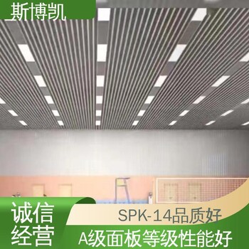斯博凱SPK-14體育地板具有良好的耐磨性廠家供應(yīng)售后無(wú)憂