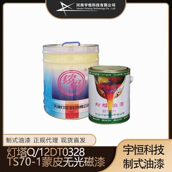 灯塔Q/12DT0328TS70-1蒙皮无光磁漆特殊领域用涂料请认准购买