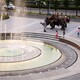 青白江圖