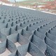 蜂巢格室圖