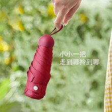 浙江413圓五折自然光傘圖片