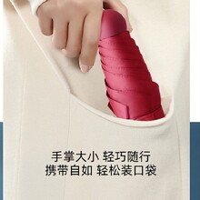衢州413圓五折自然光傘定制圖片