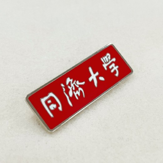 广西金属镂空胸针定制工厂电话保险公司司徽