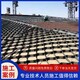 高分子蜂巢格室圖