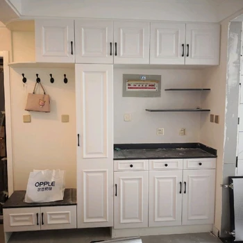 中山古鎮(zhèn)定制鞋柜