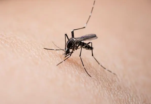测试试验驱蚊手环检测驱蚊液检测
