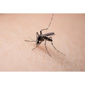 第三方检测机构驱蚊产品检测驱蚊手环检测