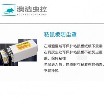威海環(huán)翠區(qū)澳潔滅鼠公司老鼠怎么消滅