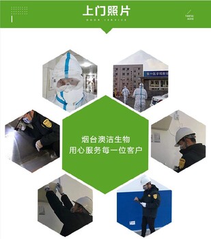 威海環(huán)翠區(qū)澳潔滅鼠公司老鼠怎么消滅