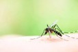 药效检测杀虫剂室内检测驱蚊液检测