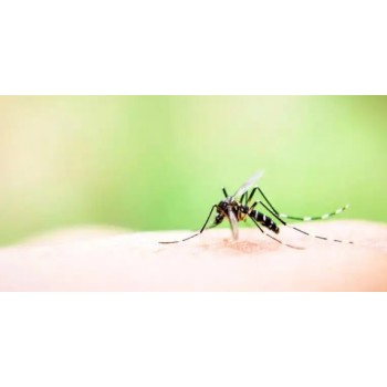 驱蚊液检测药效评定驱蚊手环检测