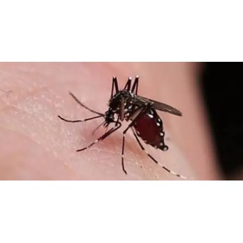 驱蚊膏检测药效评定驱蚊效果测试