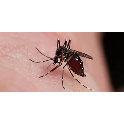 驱避剂检测药效评定杀虫驱蚊喷雾剂检测