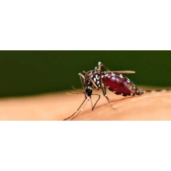 测试试验GBT13917.9标准驱蚊杀虫剂检测