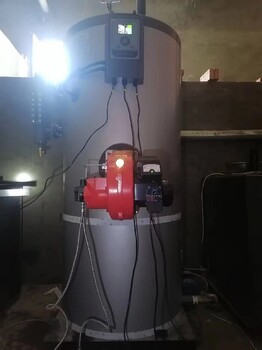 大興安嶺科瑞思蒸汽鍋爐蒸汽鍋爐廠家免檢鍋爐