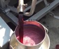 辽宁大型蓝莓榨汁机出汁率高气囊压榨机