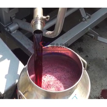 内蒙古全自动蓝莓榨汁机出汁率高浓缩蓝莓汁气囊压榨机