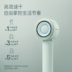 促銷贈送禮品電吹風高速電機