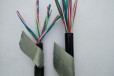 山西ZRC-HYA22大对数电缆阻燃通讯电缆
