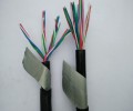 山东ZR-HJVV大对数电缆铠装通信电缆