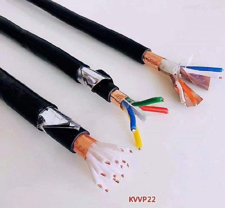 ZR-HYA22大对数电缆铠装通信电缆