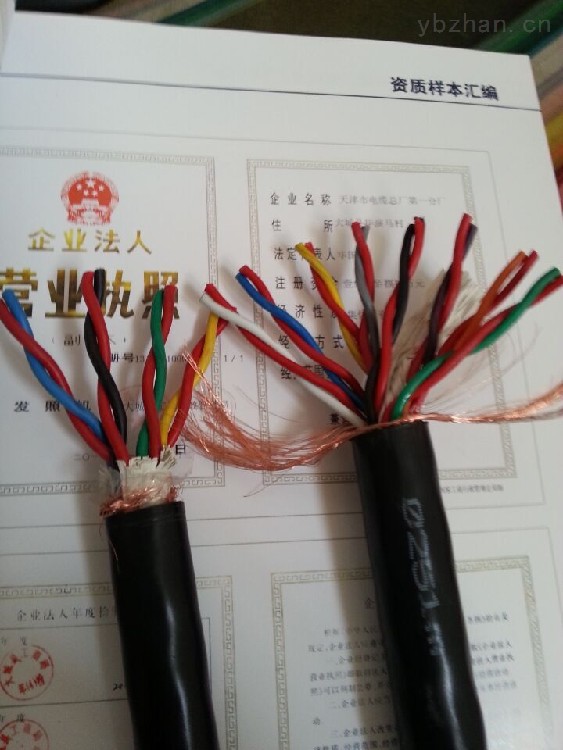 ZR-HYA22大对数电缆价格通讯电缆