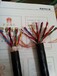ZRC-DJYVP計(jì)算機(jī)電纜加工耐火計(jì)算機(jī)電纜