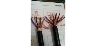 ZRC-DJYPVP计算机电缆设计阻燃计算机电缆图片4