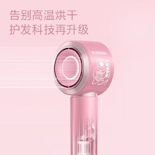 高速吹風(fēng)機(jī)洛陽(yáng)禮品公司恒溫吹風(fēng)機(jī)圖片