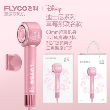 洛陽特色禮品高速吹風(fēng)機