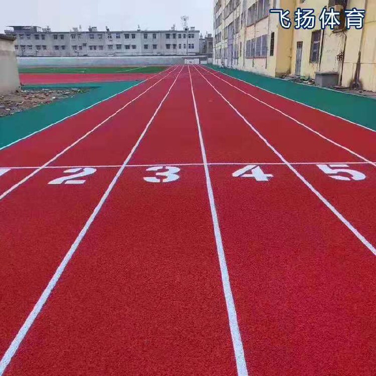 博鱼体育官网入口北京全塑型塑胶跑道(图1)