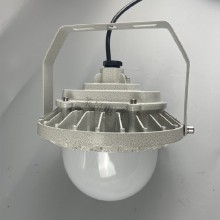 FGV6207防腐弯管灯LED免维护节能灯图片