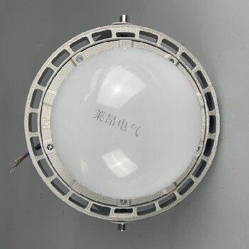 FGV6207垃圾填埋廠(chǎng)燈節能LED燈