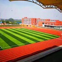 河北人造草坪價(jià)格廠家