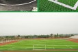 乌兰察布人造草坪足球场厂家