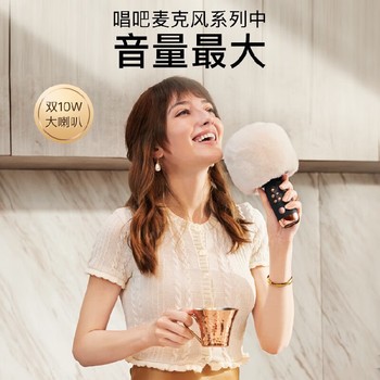 單位福利團購家用無(wú)線(xiàn)麥克風(fēng)