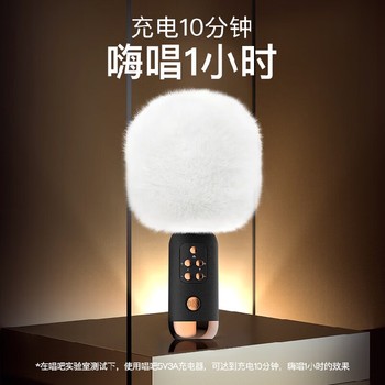 單位福利團購家用無(wú)線(xiàn)麥克風(fēng)