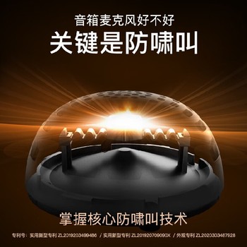 單位福利團購家用無(wú)線(xiàn)麥克風(fēng)