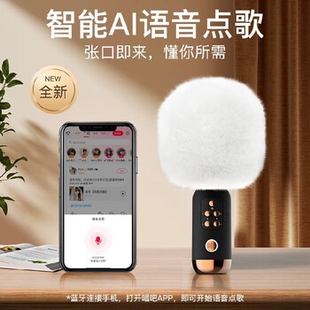 單位福利團購家用無(wú)線(xiàn)麥克風(fēng)