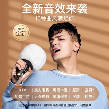 麥克風(fēng)話筒家用智能降噪高音防嘯生日禮物