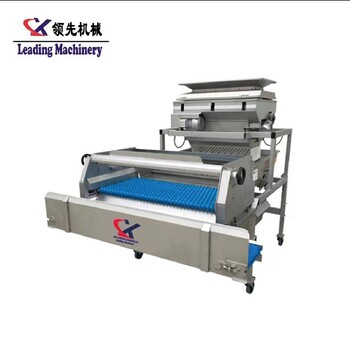 果汁葡萄加工設備葡萄除梗機