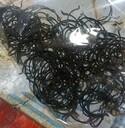 楊浦316不銹鋼發(fā)黑加工不反光黑色氧化處理