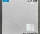 广东贴墙瓷砖办公室地砖图片