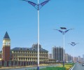 成都路灯安装公司-太阳能路灯定制