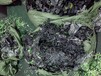 陽原縣回收鈷酸鋰三元電池正極片廢料工廠