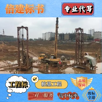 桐柏縣電子標(biāo)書制作本地代做標(biāo)書公司服務(wù)類標(biāo)書