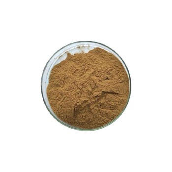 猴頭菇提取物10:1保健品原料富硒食用菌