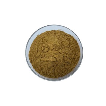 小松菇提取物10:1水溶性浓缩粉小松口蘑粉