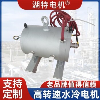 高速電機(jī)生產(chǎn)廠家
